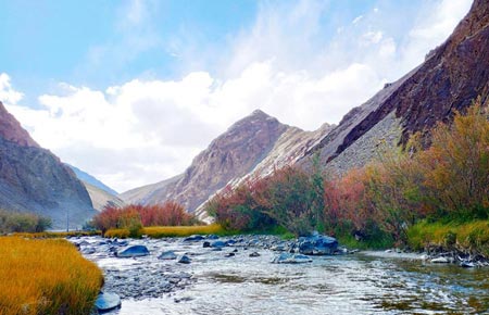 Kashmir trip packages