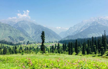 Kashmir tour and travel packages